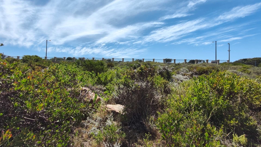 0 Bedroom Property for Sale in Blue Ridge Western Cape